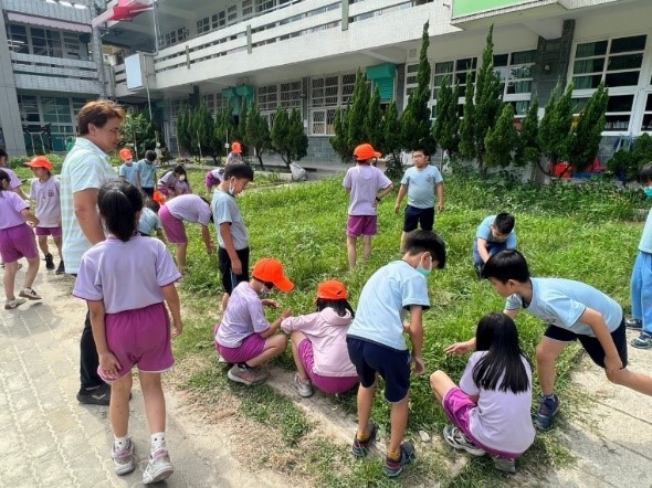 校園農園體驗(泰和國小)