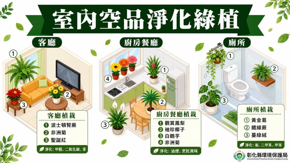 室內空氣品質淨化綠植宣導